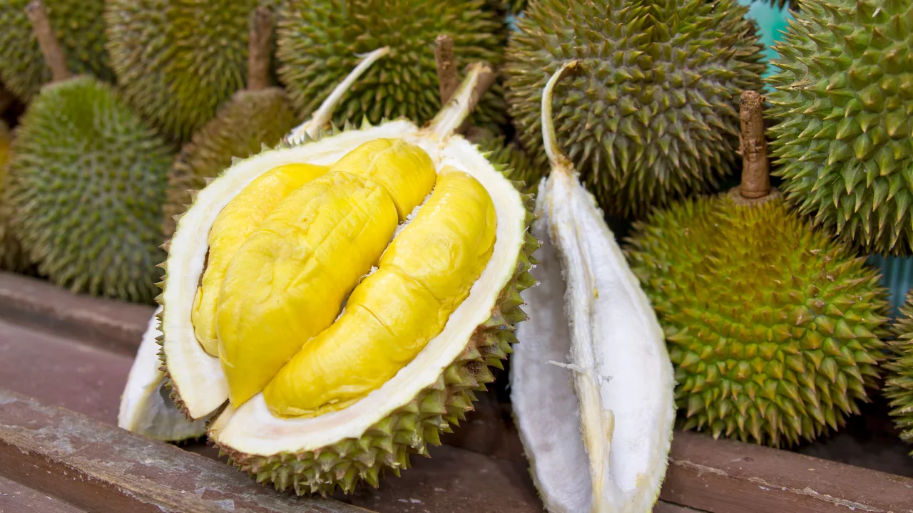 The Health Benefits of Durian: A Nutrient-Dense Tropical Fruit 8 VINUT_Health Benefits of Durian