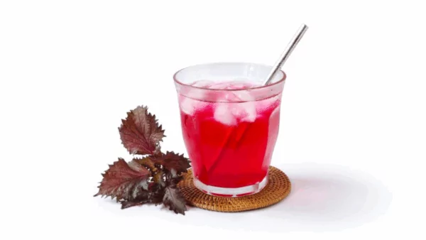 Top 5 Modern Health Benefits of Perilla Leaf Extract 11 VINUT_Real-Life Applications