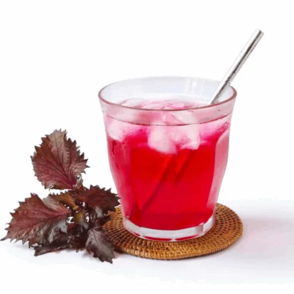Top 5 Modern Health Benefits of Perilla Leaf Extract 11 VINUT_Real-Life Applications