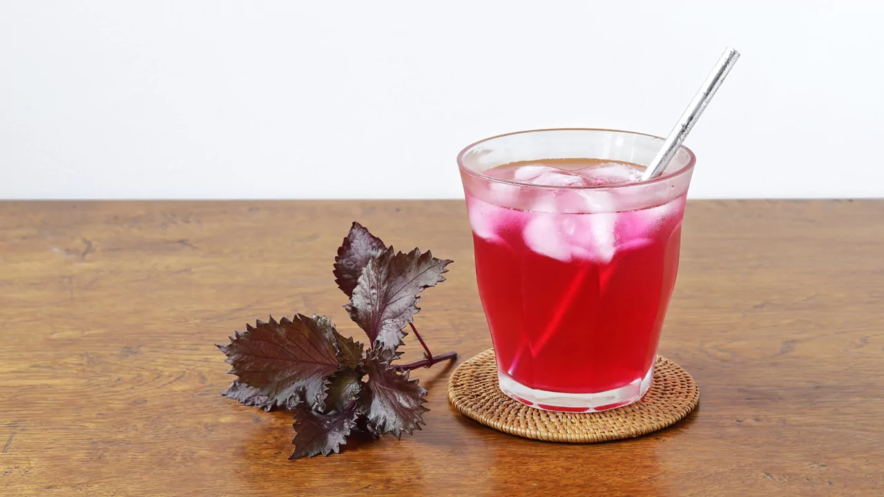 Why VINUT’s Perilla-Infused Drinks Lead the New Functional Beverage Trend